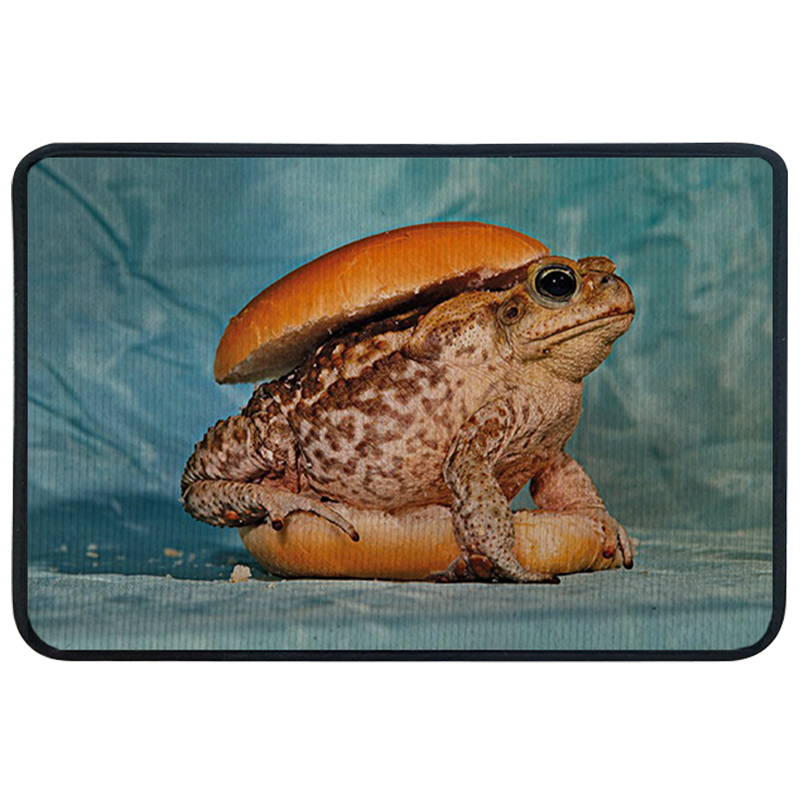 Ковры  Loft Concept Ковер для прихожей и ванной Seletti Toad Rug