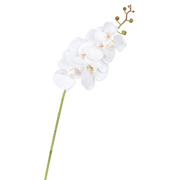 Искусственные цветы  Loft Concept Декоративный искусственный цветок Average White Orchid