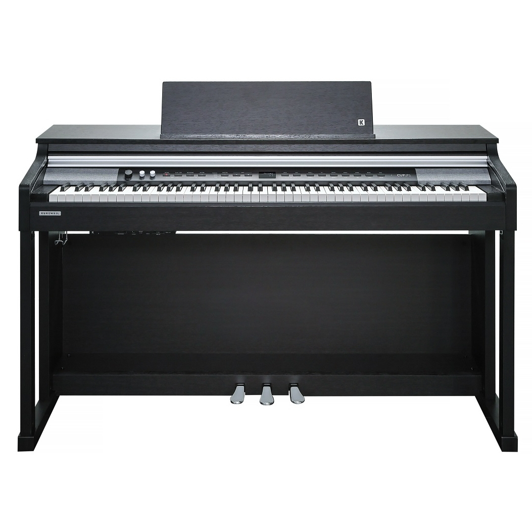 Andante CUP  Love Piano Kurzweil CUP P1 SR - палисандр