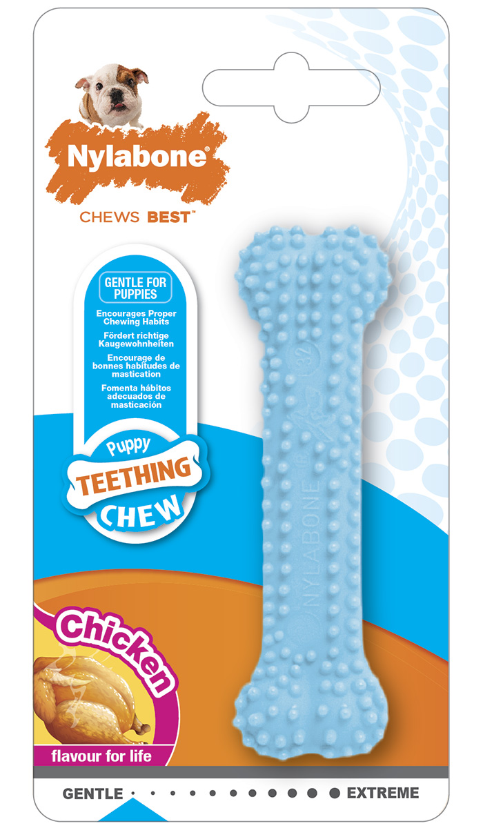 Игрушка для щенков Nylabone Puppy Teething Dental Chew Blue косточка для зубов с ароматом курицы голубая (1 шт)