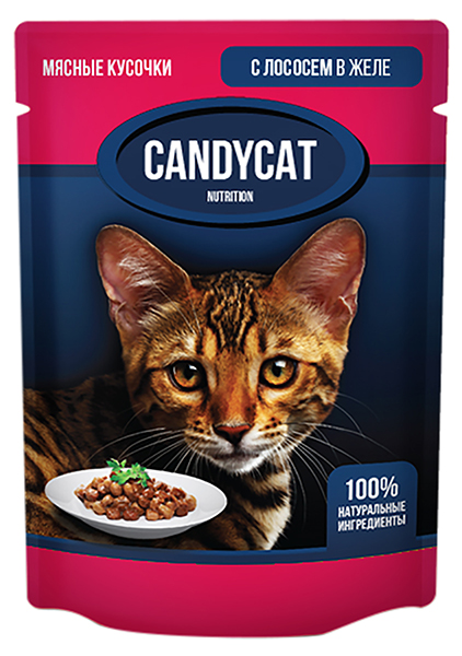 Candycat для взрослых кошек с лососем в желе (85 гр х 24 шт)