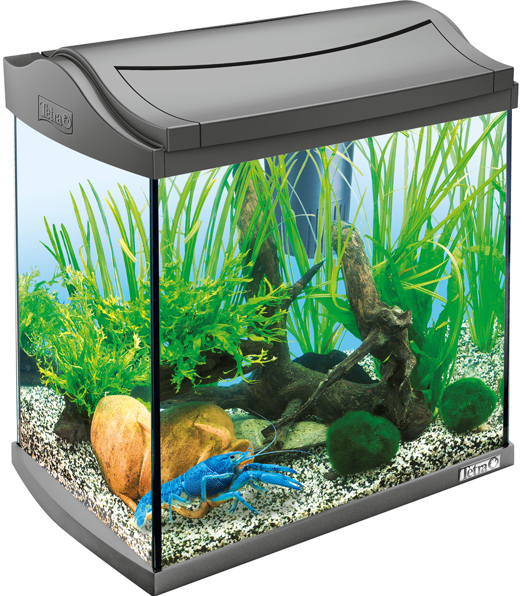 Аквариум Tetra Aquaart Crayfish Discover Line 30 литров 39 x 27,5 x 42,2 см антрацит (1 шт)