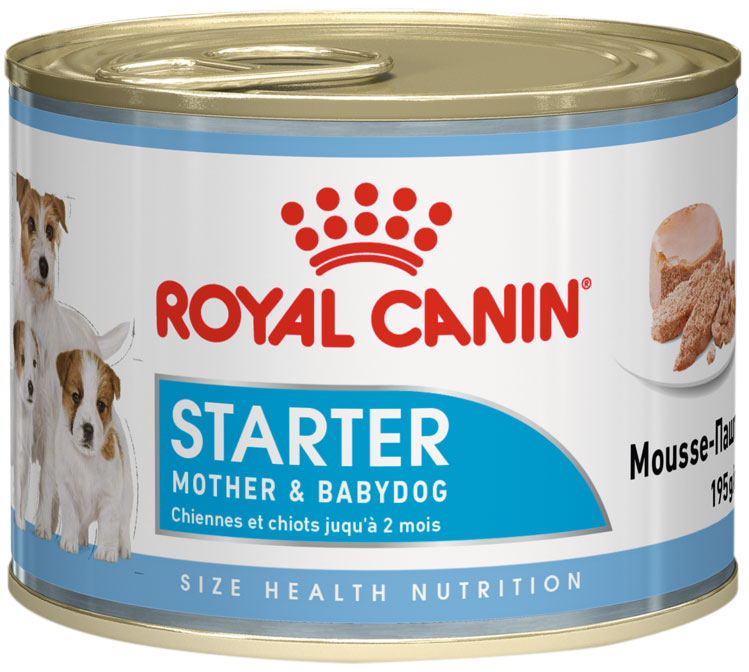 Royal Canin Starter Mousse для щенков до 2 месяцев, беременных и кормящих сук  (195 гр)