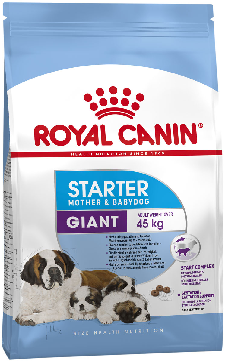 Royal Canin Giant Starter для щенков крупных пород до 2 месяцев, беременных и кормящих сук (4 + 4 кг)