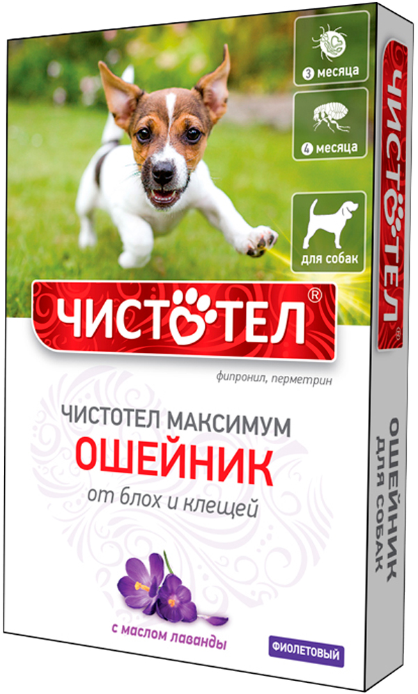 чистотел максимум ошейник для собак против блох и клещей фиолетовый 65 см (1 шт)