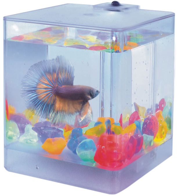 Аквариум Aa Aquarium Aqua Box Betta пластиковый 1,3 литра (1 шт)