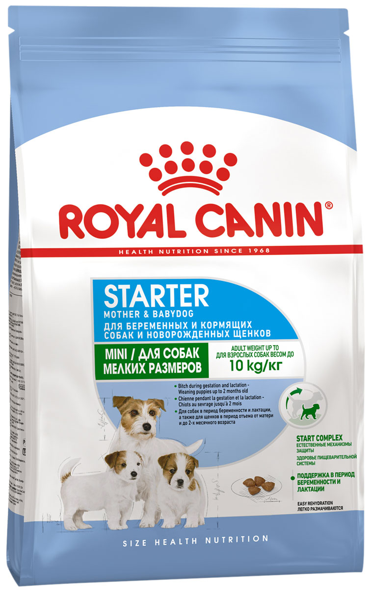 Royal Canin Mini Starter для щенков маленьких пород до 2 месяцев, беременных и кормящих сук (1 кг)