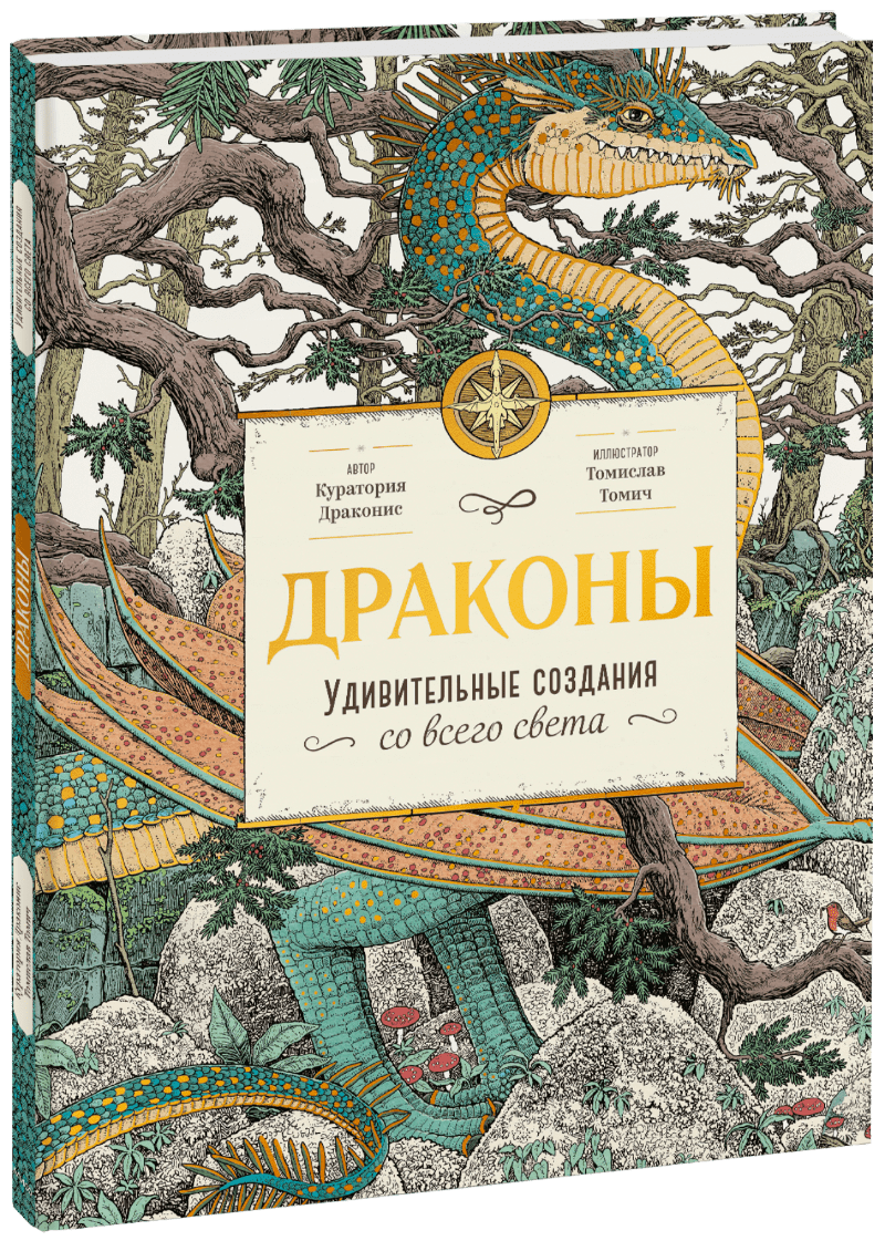 Драконы