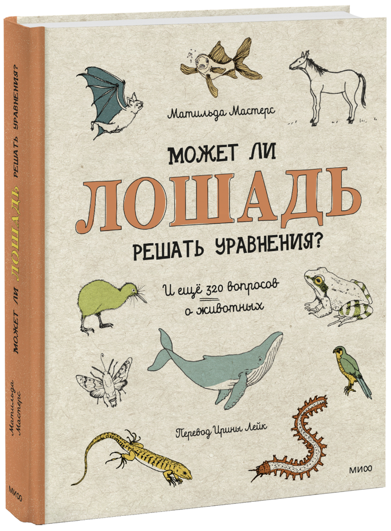 Может ли лошадь решать уравнения?
