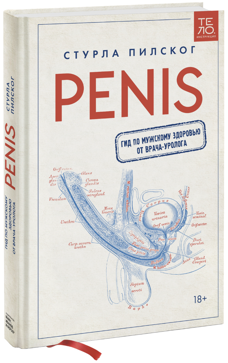 Penis