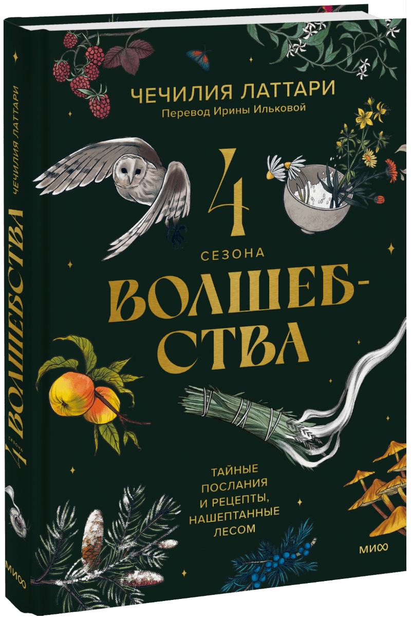4 сезона волшебства