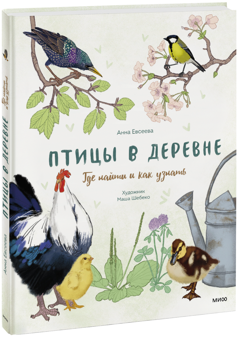 Птицы в деревне