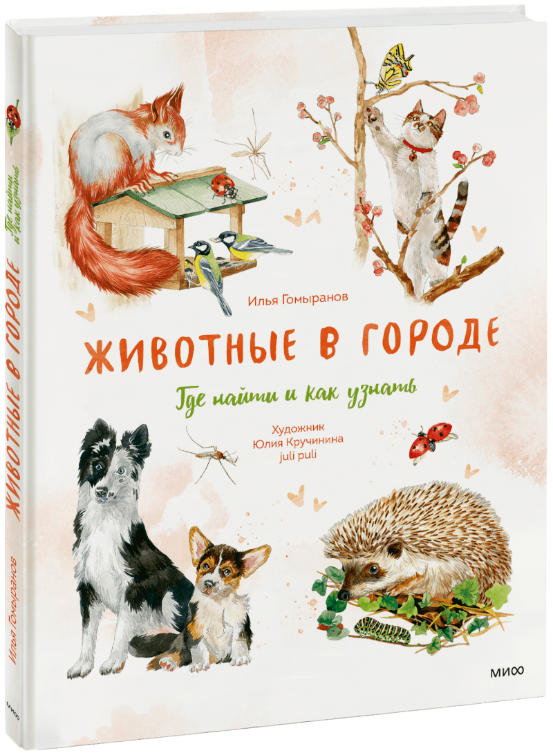 Животные в городе. Где найти и как узнать