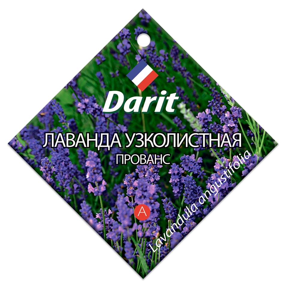 Семена Darit Лаванда узколистная Прованс 0.1г