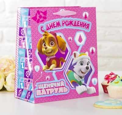 2156474 Пакет ламинированный вертикальный Paw Patrol Поздравление с Днем Рождения!