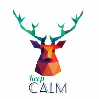  1857223 Термонаклейка для декорирования текстильных изделий Keep calm