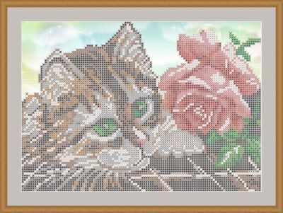 КАЮ4086 Котенок