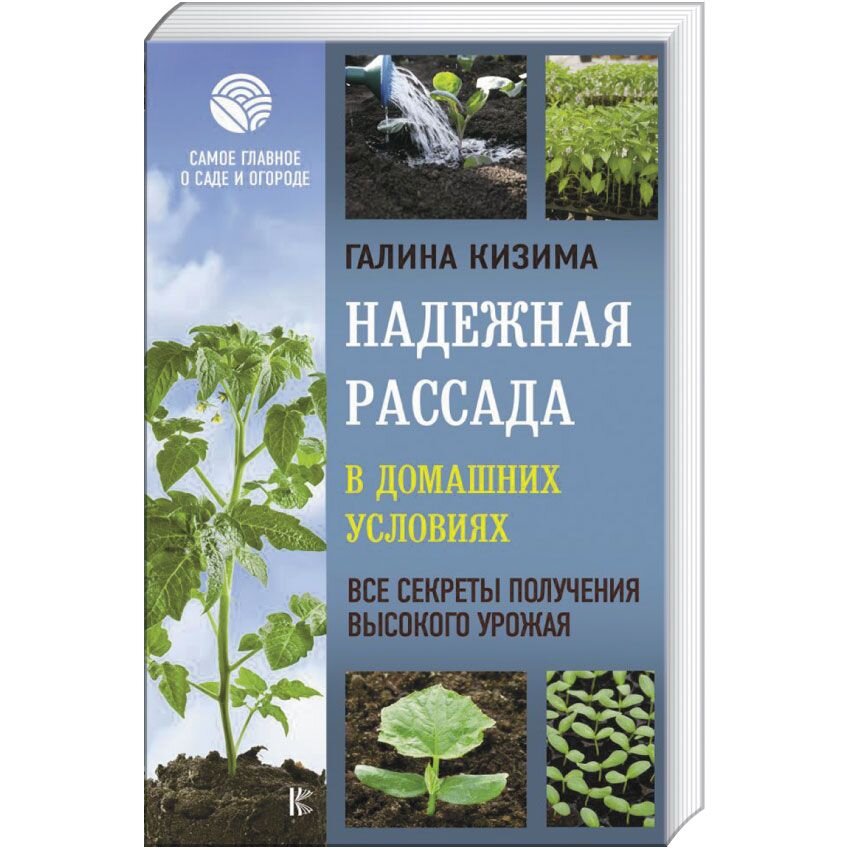 Надежная рассада в домашних условиях. Все секреты получения высокого урожая