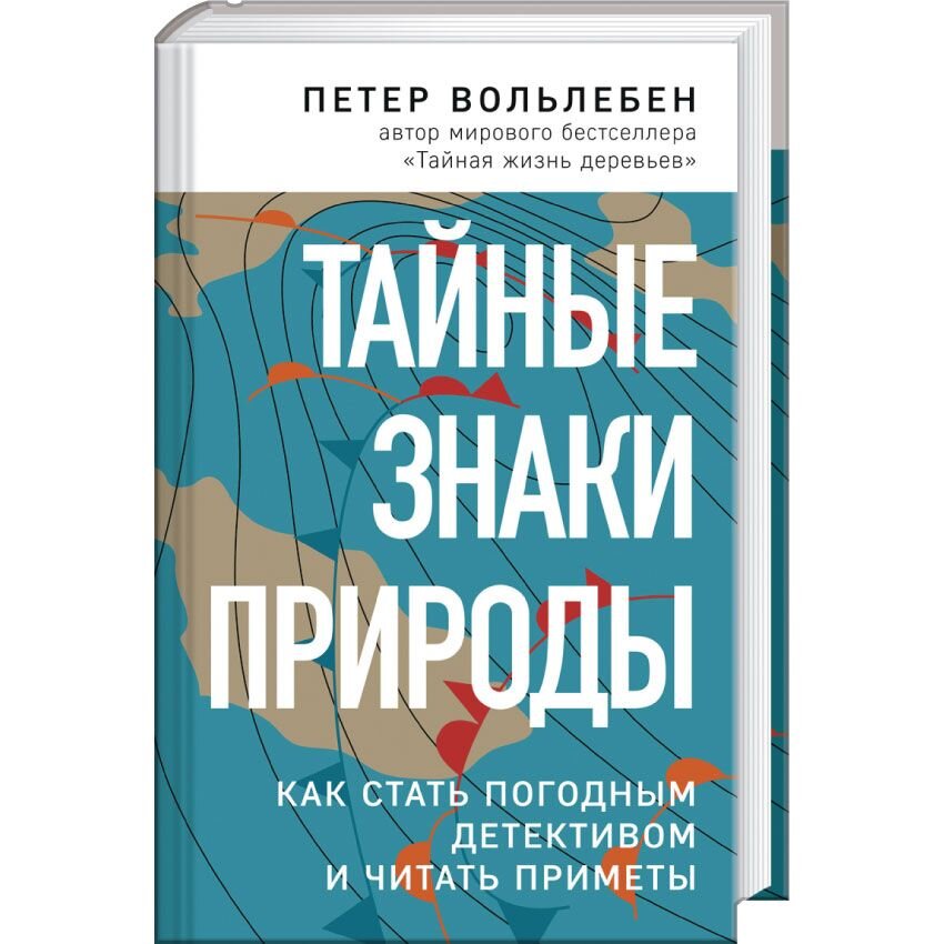 Тайные знаки природы: как стать погодным детективом и читать приметы