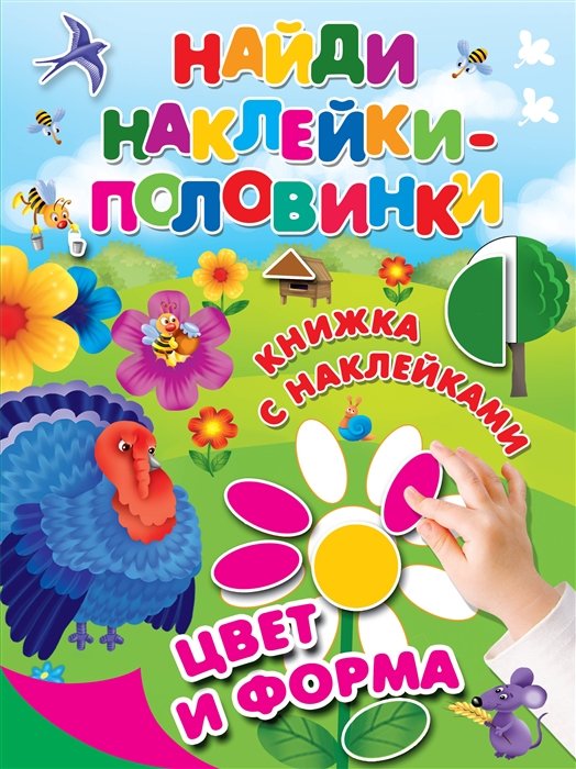 Цвет и форма