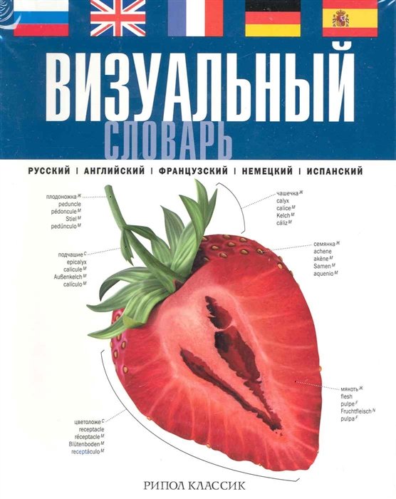 Визуальный словарь.Русский.Английский.Французский.Немецкий.Испанский