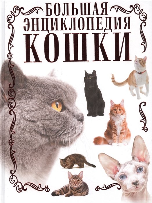 Кошки. Большая энциклопедия