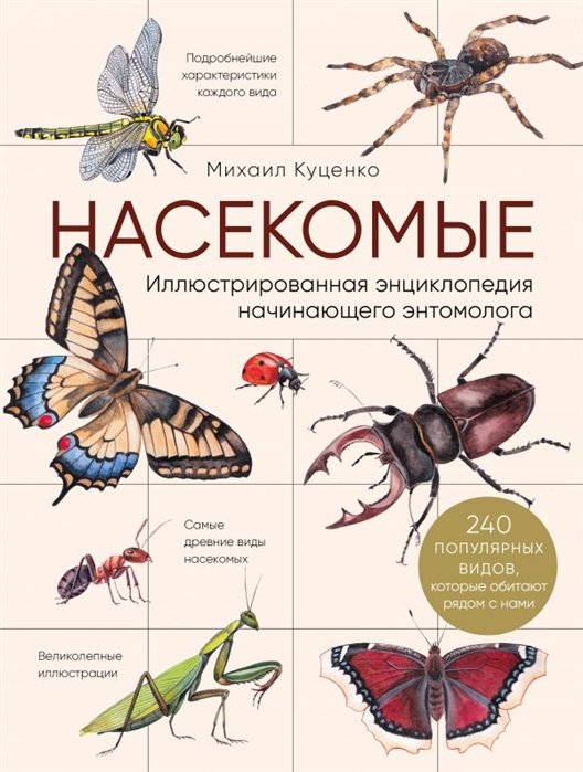 Насекомые. Иллюстрированная энциклопедия начинающего энтомолога. 240 популярных видов, которые обитают рядом с нами