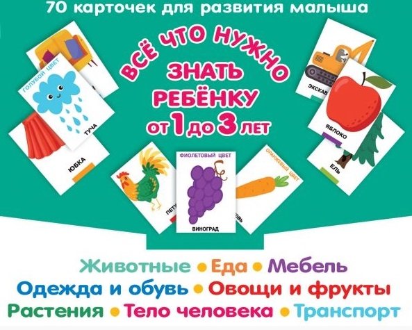 Все, что нужно знать ребенку от 1 до 3 лет. Растения, Животные, Еда, Мебель, Одежда и обувь, Овощи в фрукты, Тело человека, Транспорт