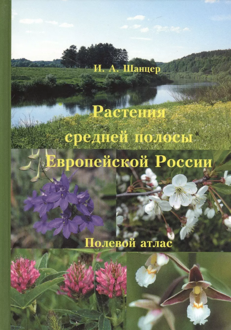 Ботаника Растения средней полосы Европейской России. Полевой атлас. 5-е изд.