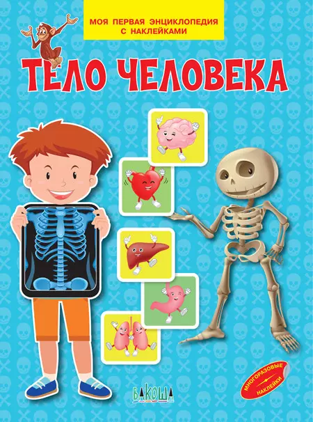 Тело человека. Моя первая энциклопедия с наклейками