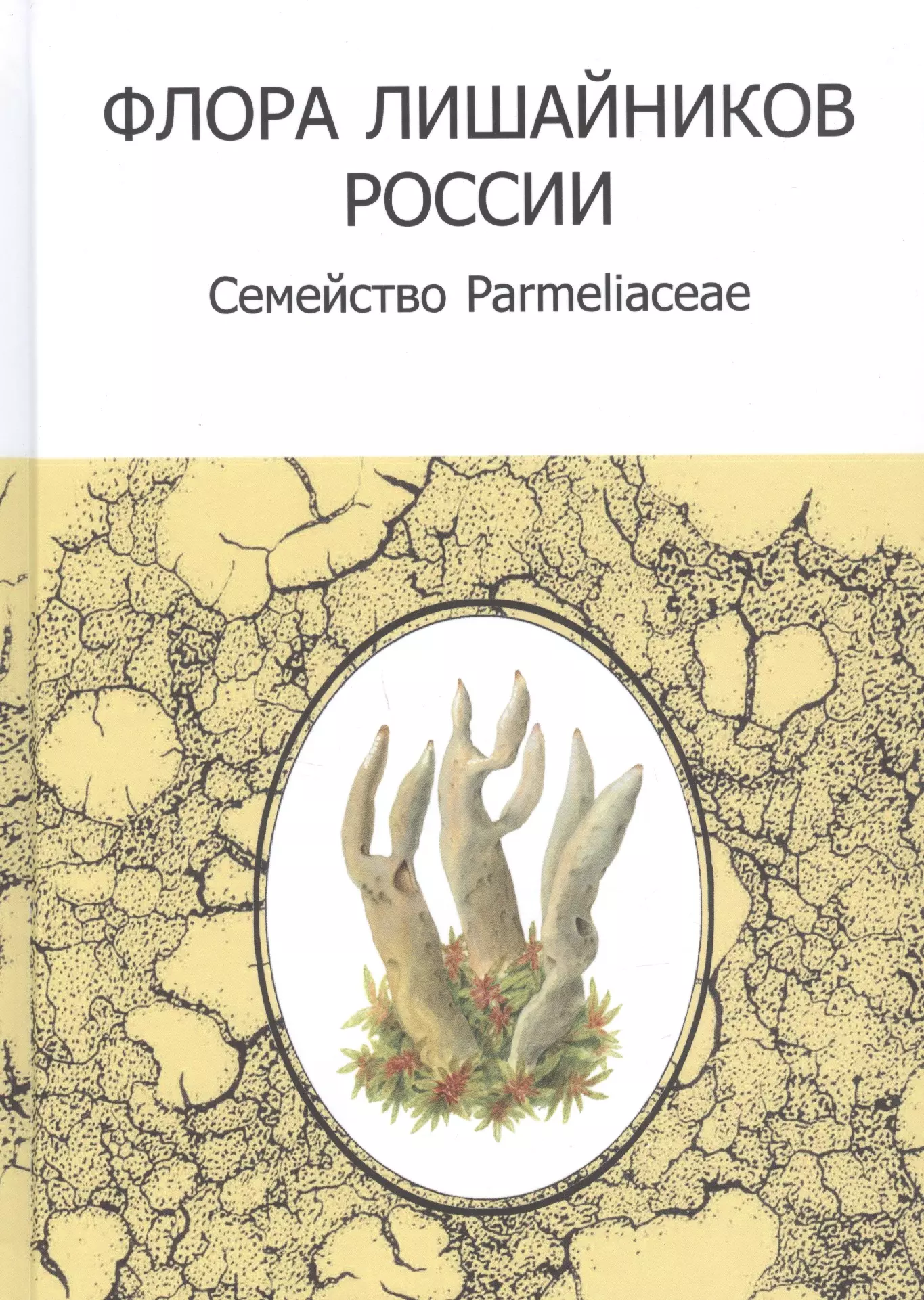 Ботаника Флора лишайников России: Семейство Parmeliaceae