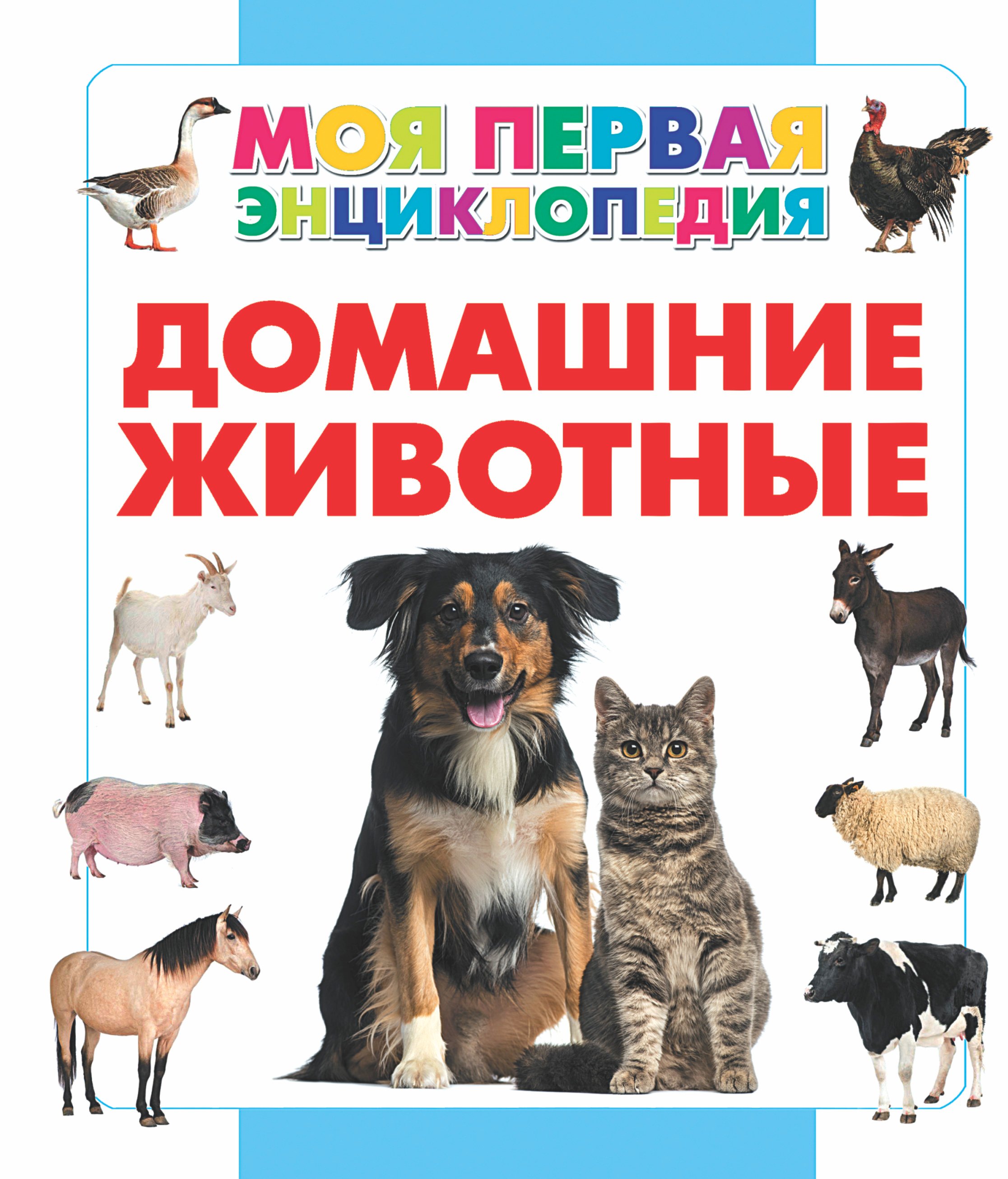   Book24 Домашние животные