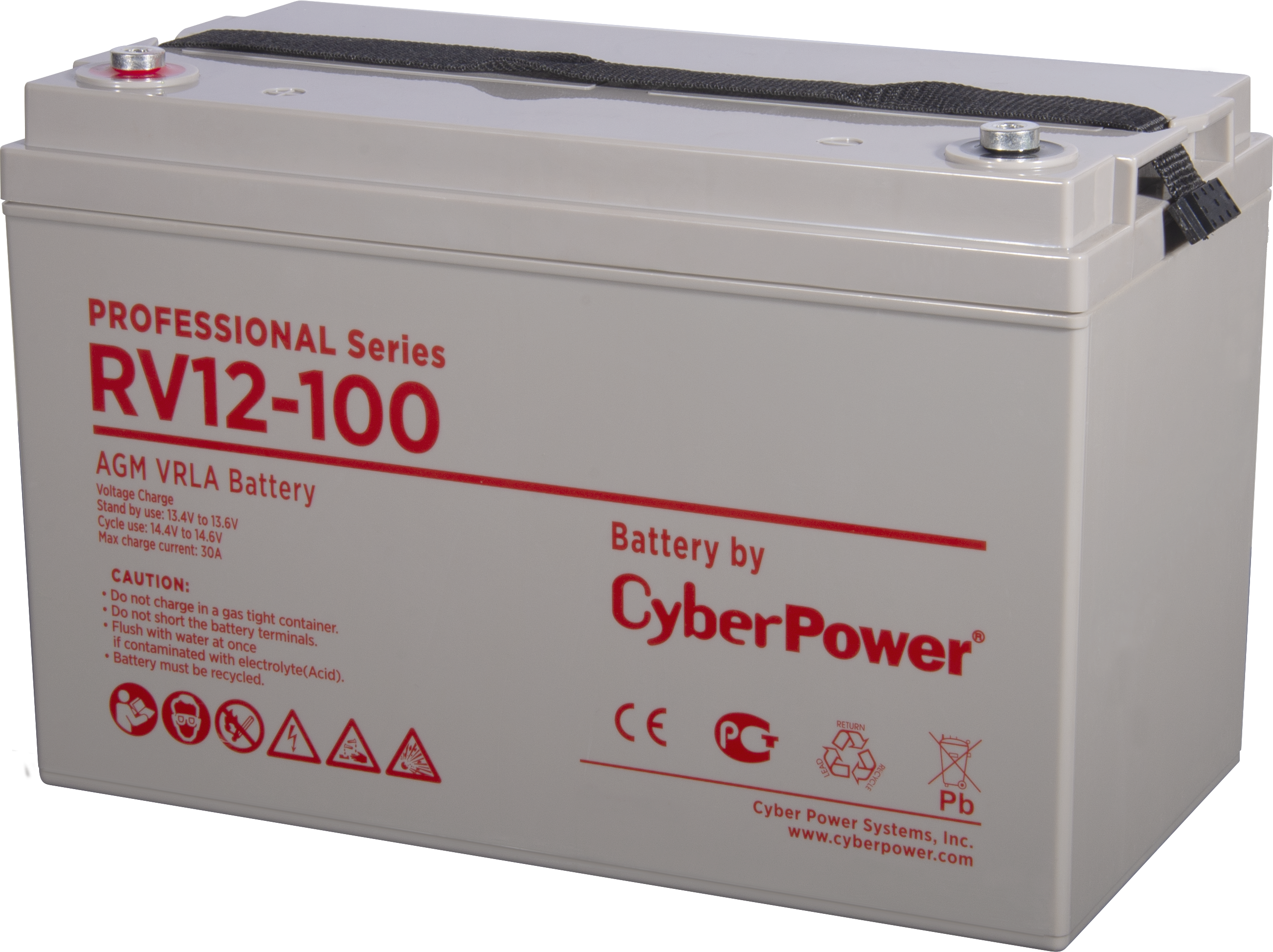 Аккумуляторная батарея PS CyberPower RV 12-100 / 12 В 100 Ач CyberPower Professional Series RV 12-100