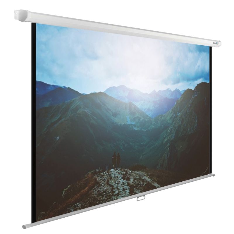  Экран Cactus 240x240см WallExpert CS-PSWE-240x240-WT 1:1 настенно-потолочный рулонный