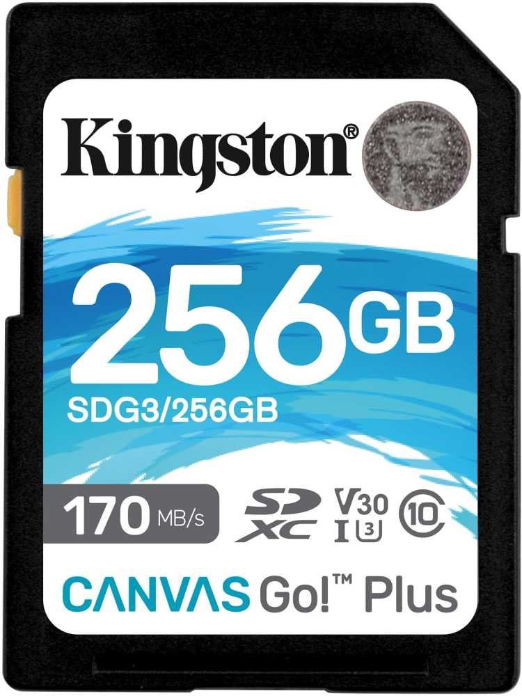 Флеш карта SDXC 256Gb Class10 Kingston SDG3/256GB Canvas Go! Plus w/o adapter