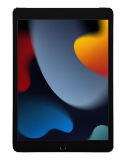 Планшет Apple Ipad 10.2" (2021) 64GB WI-FI Silver (MK2L3RK/A)