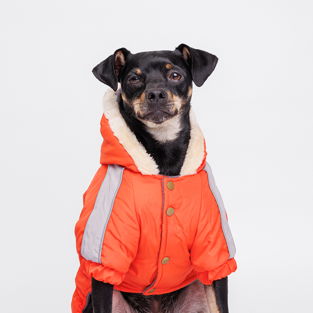 Petmax Комбинезон с капюшоном для собак, L, оранжево-серый