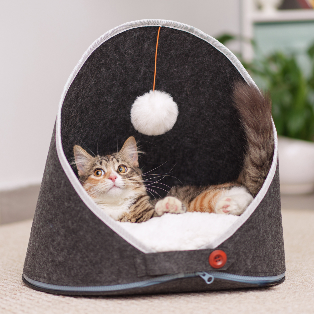 Rurri Лежак с игрушкой для кошек и собак мелких пород, 40х40х43,5 см, серый