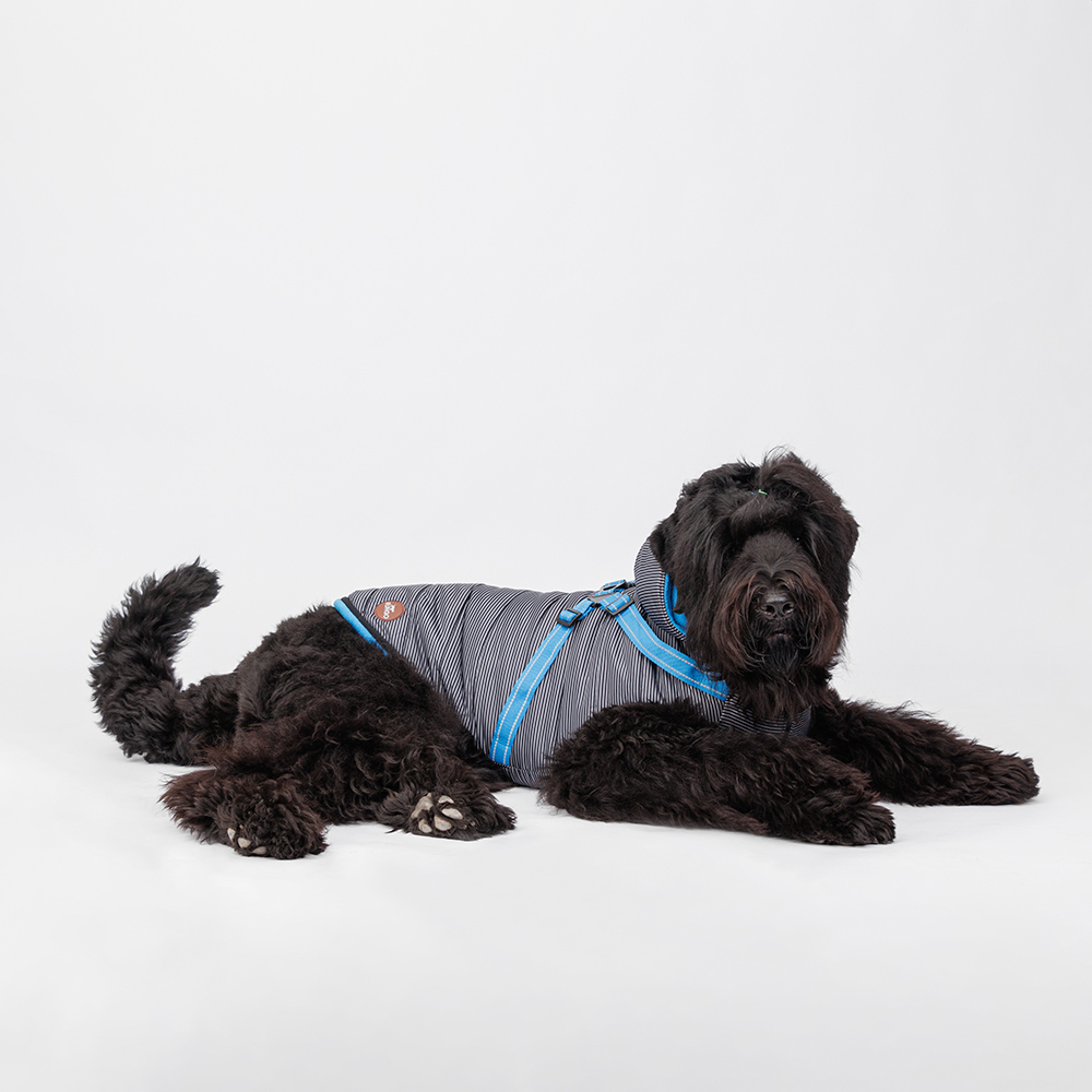 Попоны и жилеты Rungo Попона теплая со шлейкой для собак, 4XL, черная