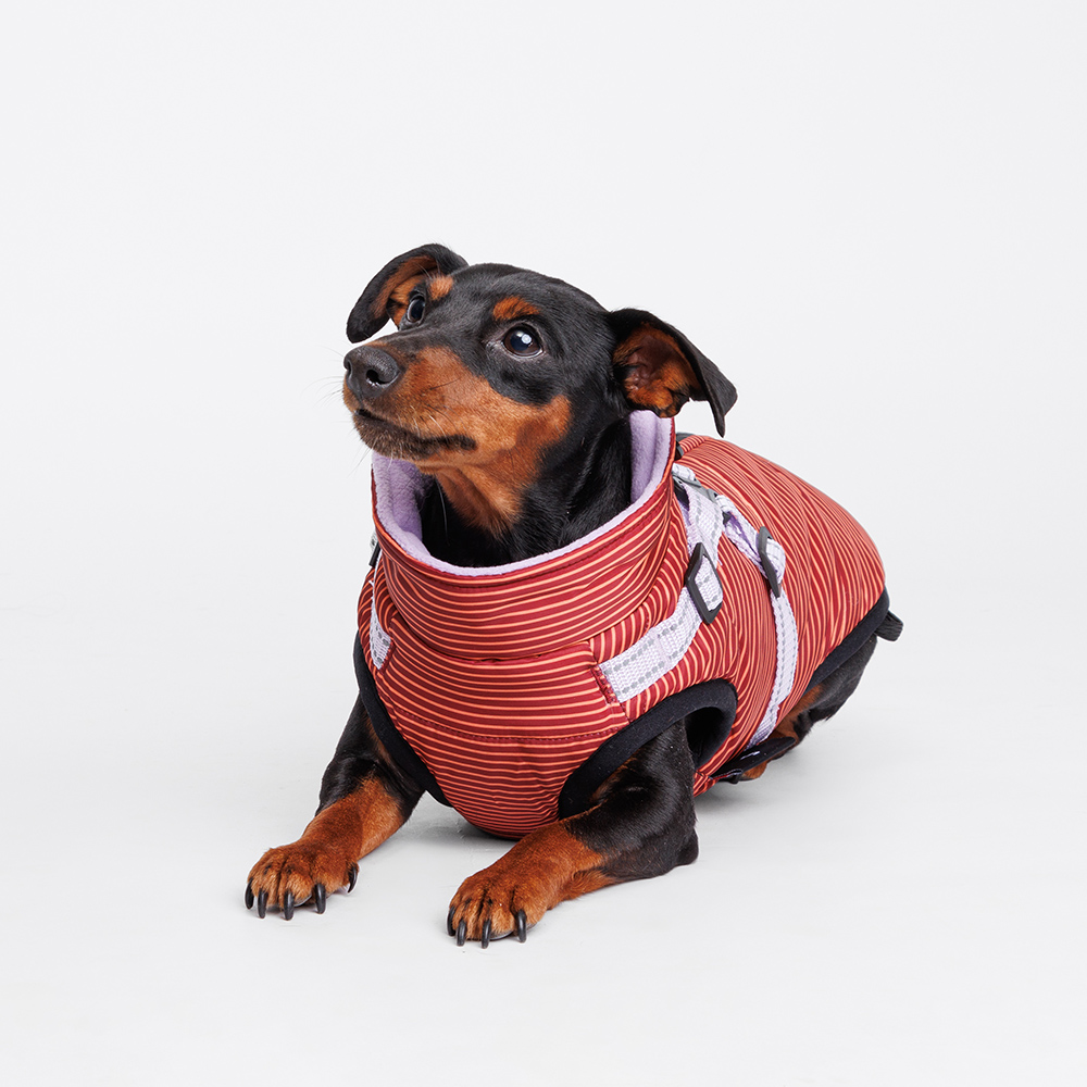 Попоны и жилеты Rungo Попона теплая со шлейкой для собак, M, красная