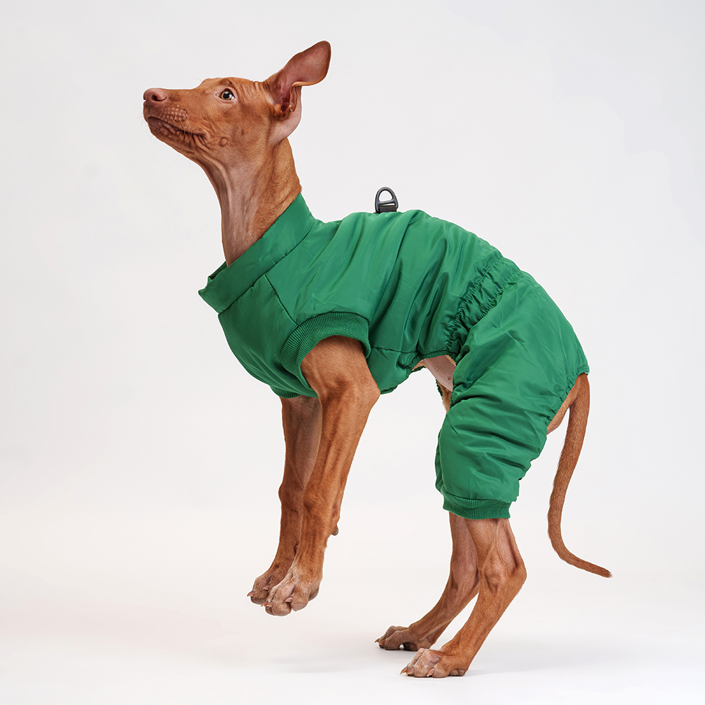 Petmax Комбинезон на замке для собак, 2XL, зеленый