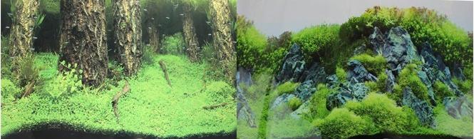 Prime Фон двусторонний для аквариума Затопленный лес и Камни с растениями, 30х60 см