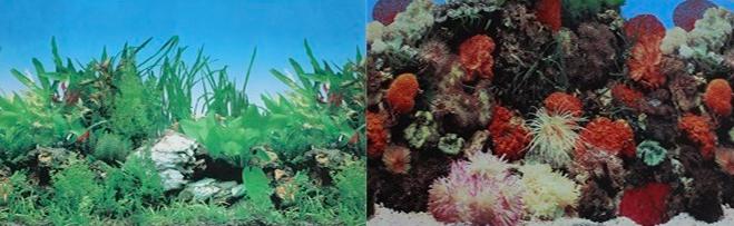Prime Фон двусторонний для аквариума Кораллы и Растительный, 50х100 см