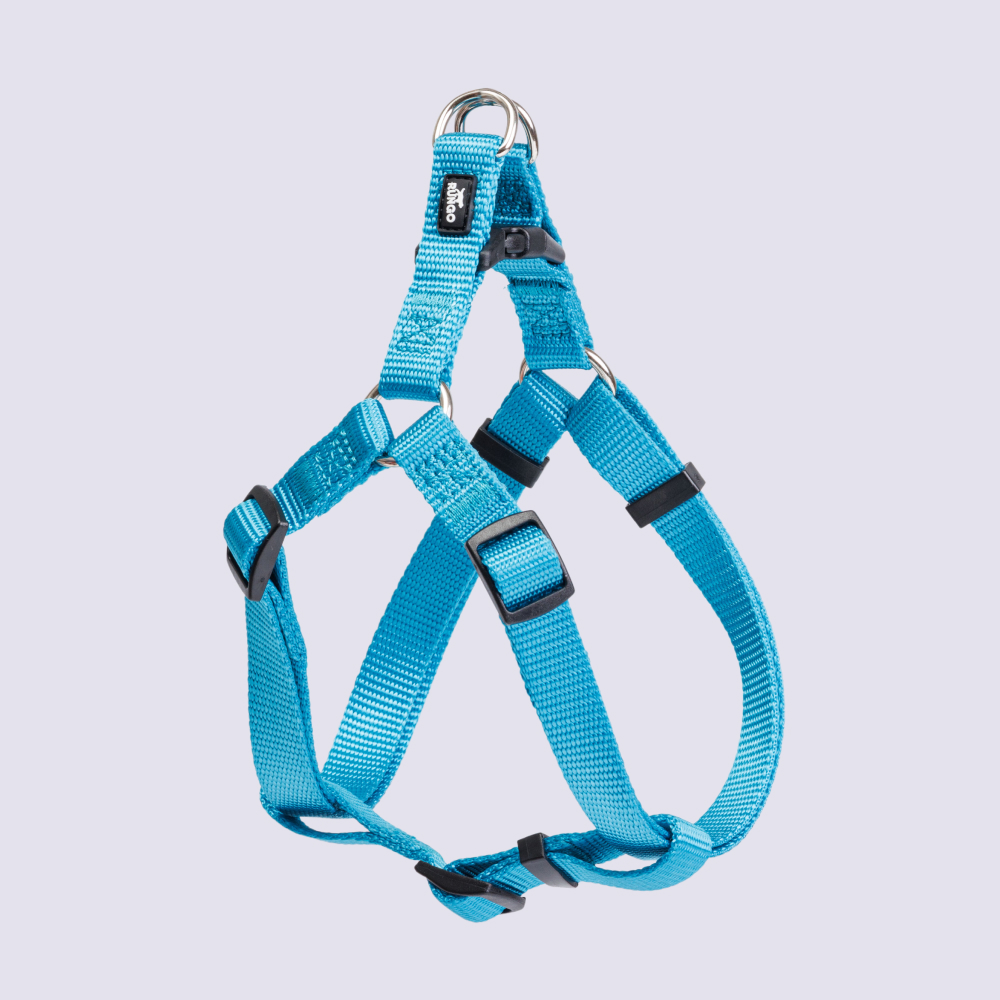 Rungo Шлейка для собак нейлоновая Step-in, обхват груди 45-63 см, ширина 15 мм, голубая