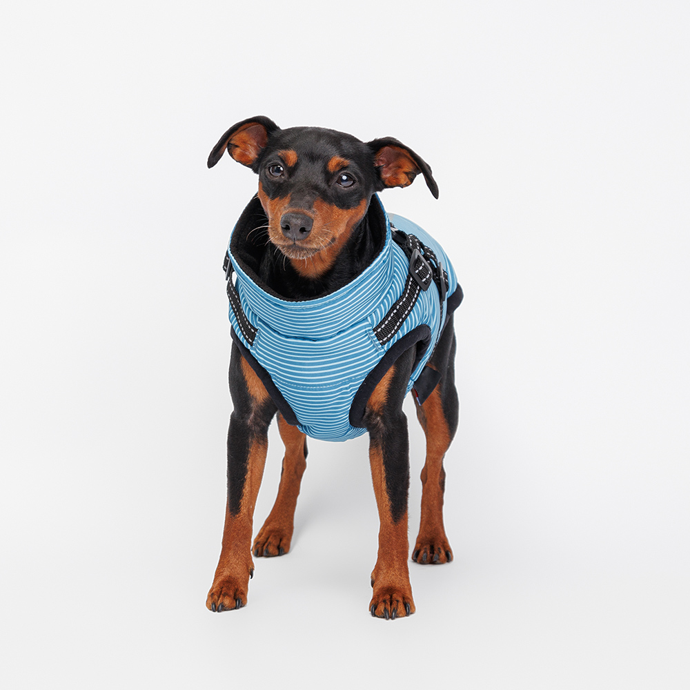 Попоны и жилеты  Четыре Лапы Rungo Попона теплая со шлейкой для собак, M, синяя