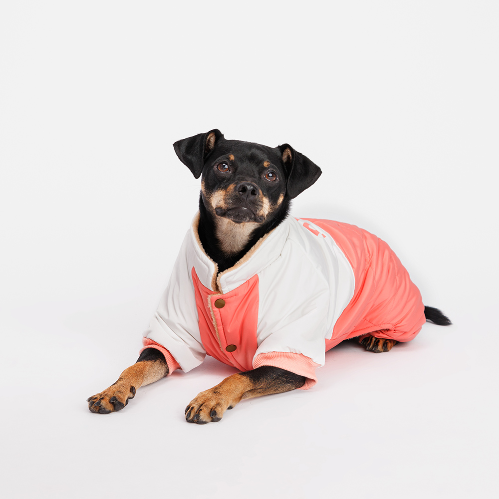 Petmax Комбинезон для собак, 3XL, розово-серый (девочка)