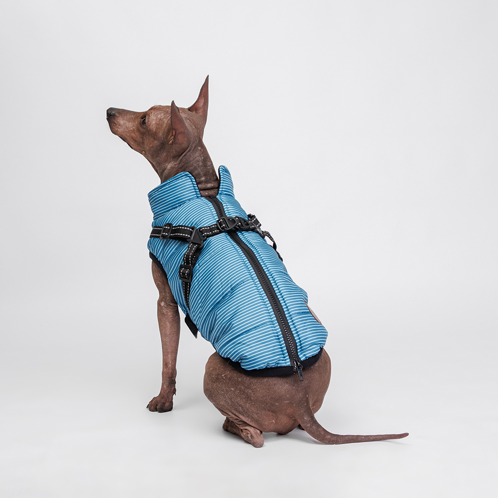 Попоны и жилеты  Четыре Лапы Rungo Попона теплая со шлейкой для собак, XL, синяя