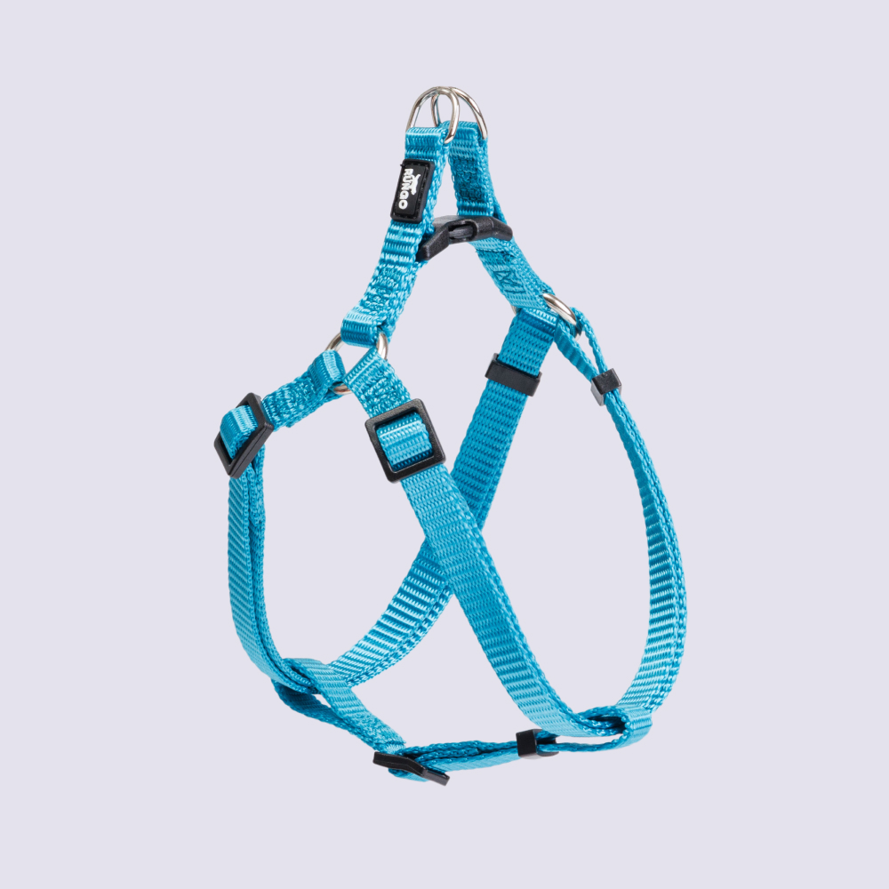 Rungo Шлейка для собак нейлоновая Step-in, обхват груди 33-46,5 см, ширина 10 мм, голубая