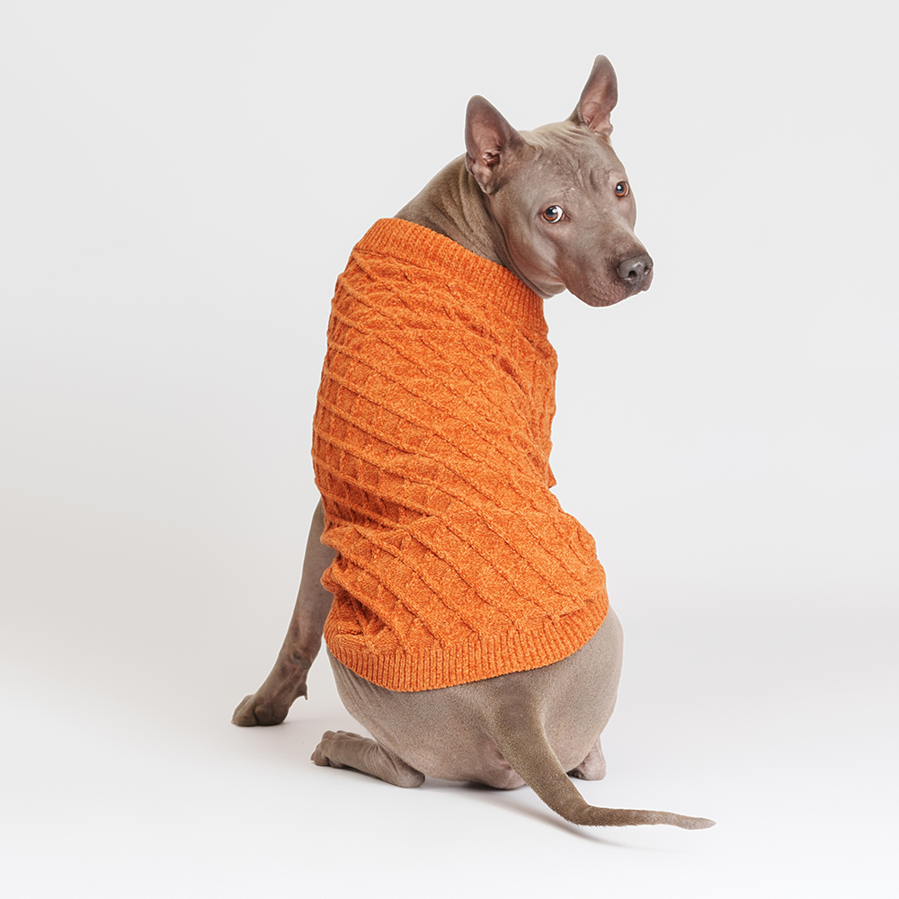 Rurri Свитер из шенилла для собак, 5XL, желтый