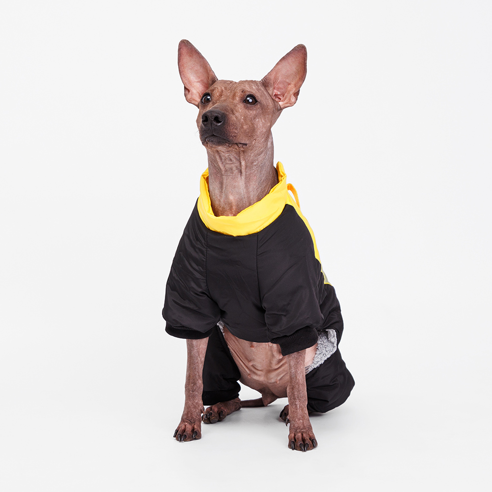 Petmax Комбинезон для собак, 2XL, желто-черный
